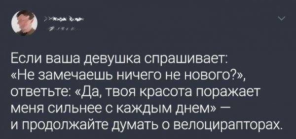 Забавное из твиттера (17 фото)