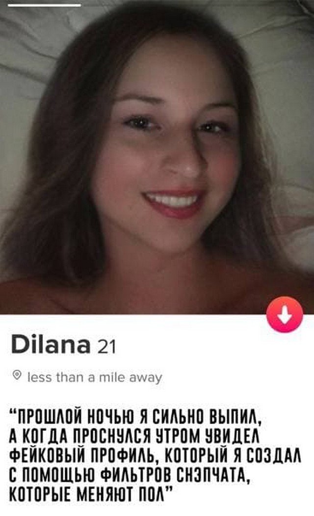    Tinder (15 )