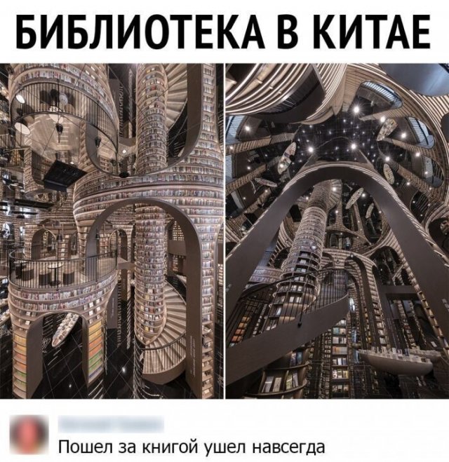 Смешные комменты из сети (30 фото)