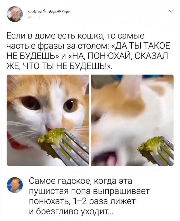 Смешные комменты из сети (30 фото)