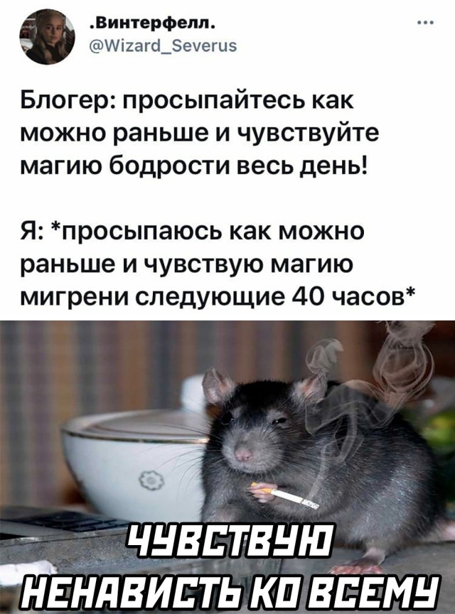Сборка свежих мемов и приколов (30 фото)
