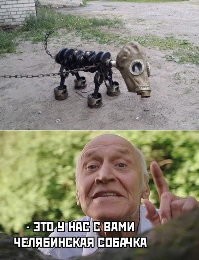 Сборка свежих мемов и приколов (30 фото)