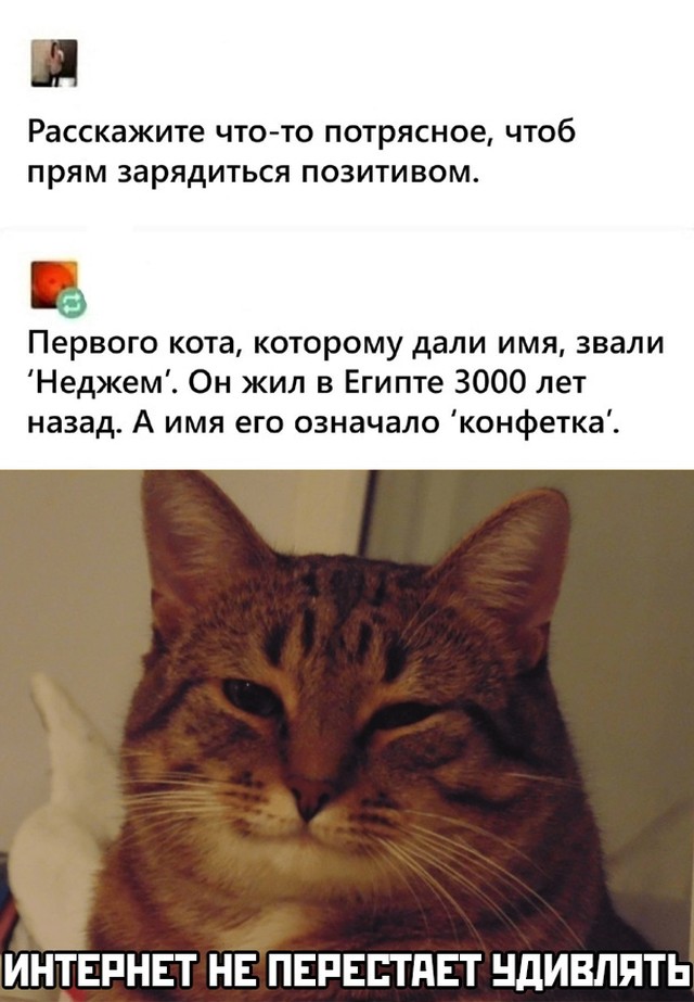 Сборка свежих мемов и приколов (30 фото)