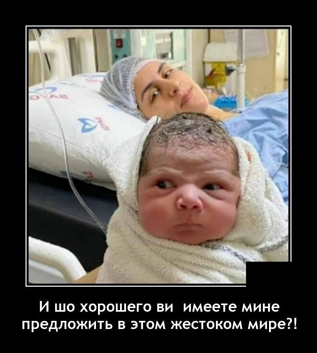 Демотиваторы среды (20 фото)