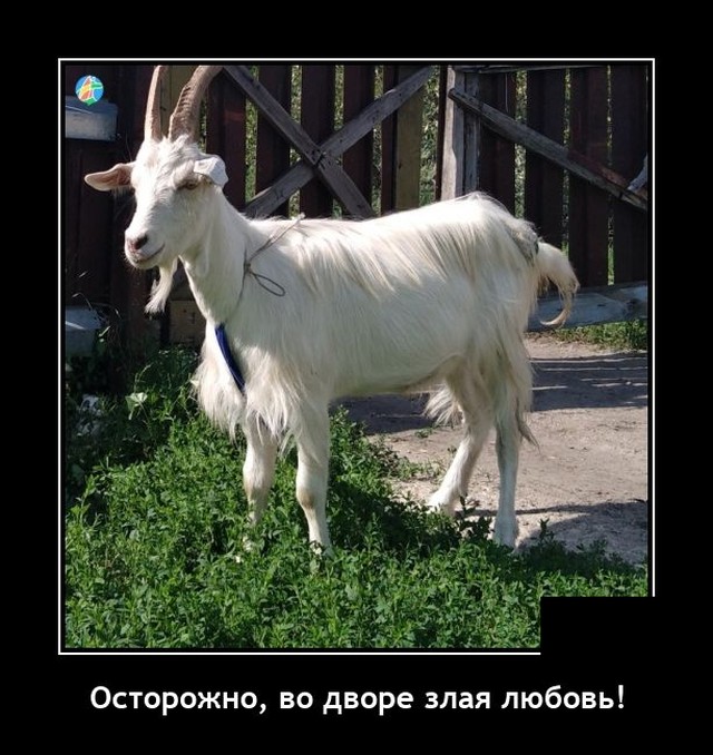 Демотиваторы среды (20 фото)