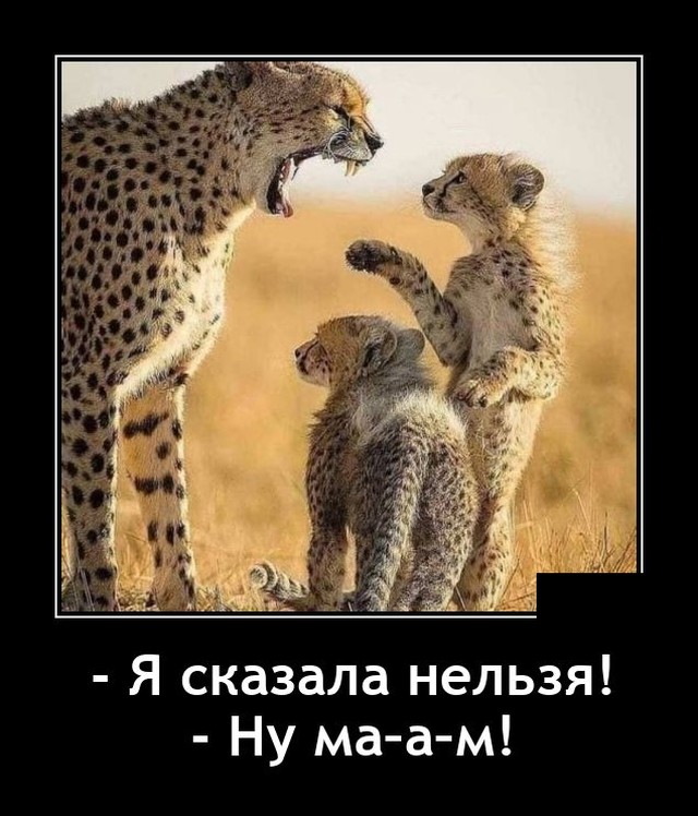 Демотиваторы четверга (20 фото)