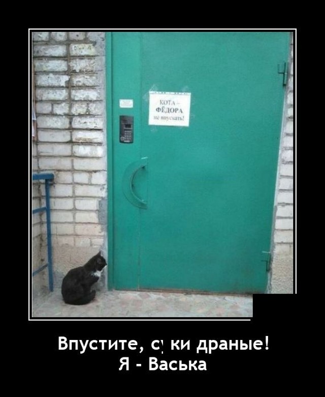 Демотиваторы четверга (20 фото)