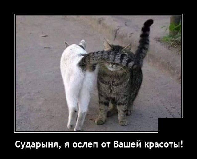 Демотиваторы четверга (20 фото)