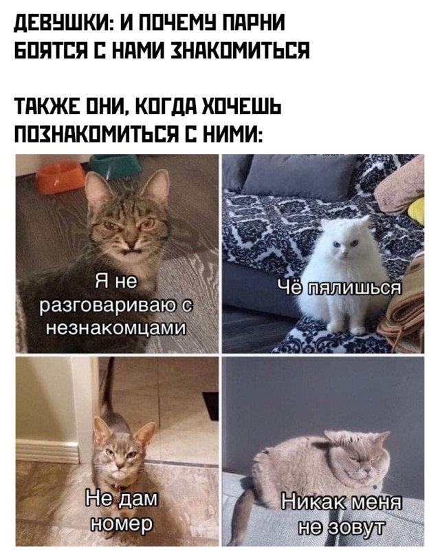 Ассорти приколов из сети (30 фото)