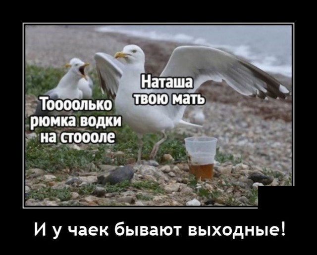 Демотиваторы четверга (20 фото)