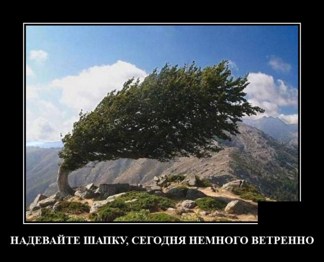Демотиваторы четверга (20 фото)