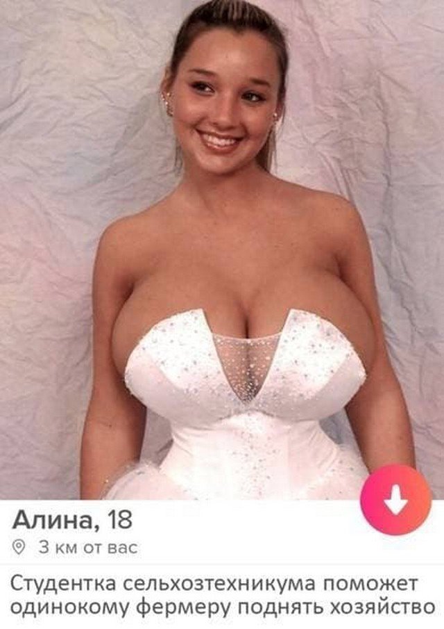    Tinder (15 )