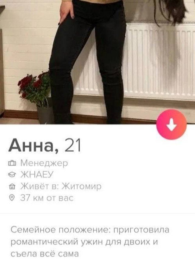    Tinder (15 )