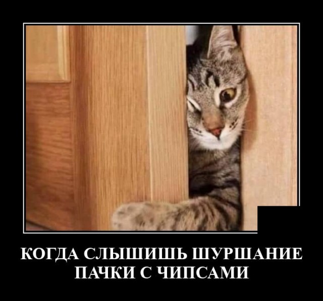 ������������ ����� (20 ����)