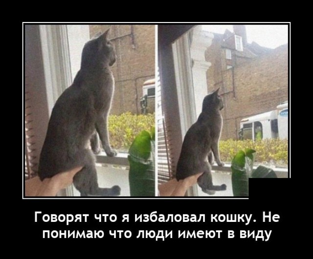 ������������ ����� (20 ����)