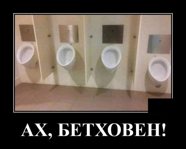 ������������ ����� (20 ����)
