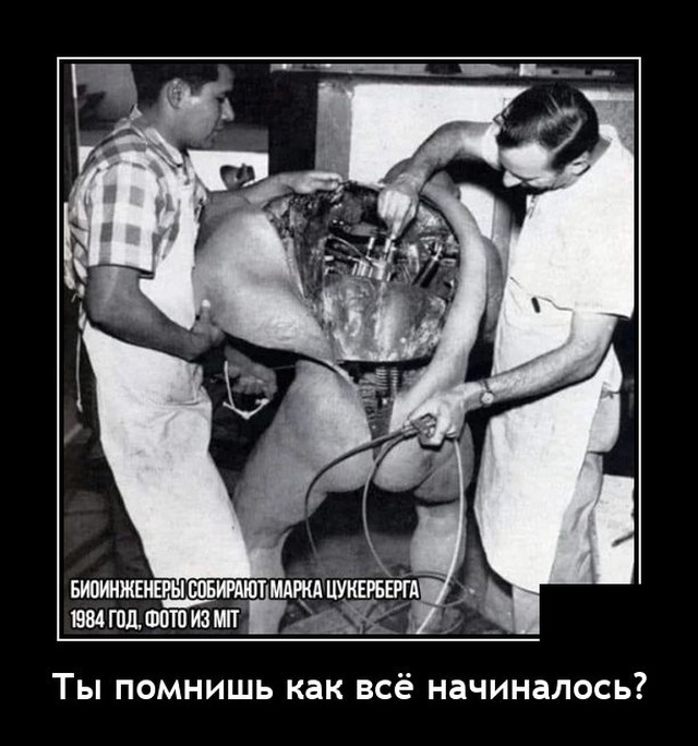 ������������ ����� (20 ����)