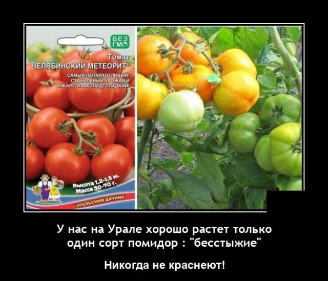 ������������ ����� (20 ����)
