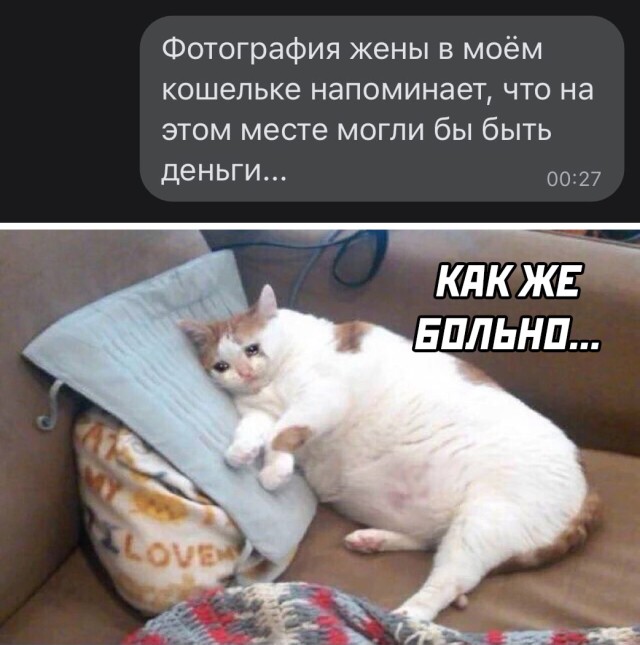������ ���� � ������� �� ���� (30 ����)