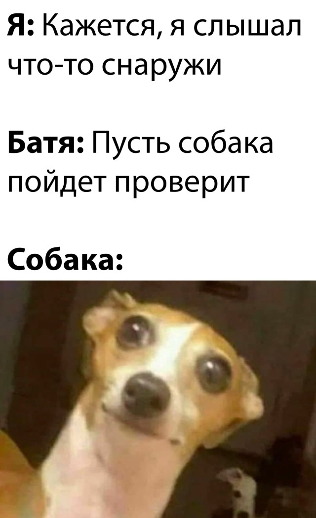 ������ ���� � ������� �� ���� (30 ����)