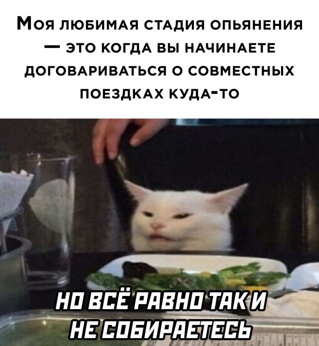 ������ ���� � ������� �� ���� (30 ����)