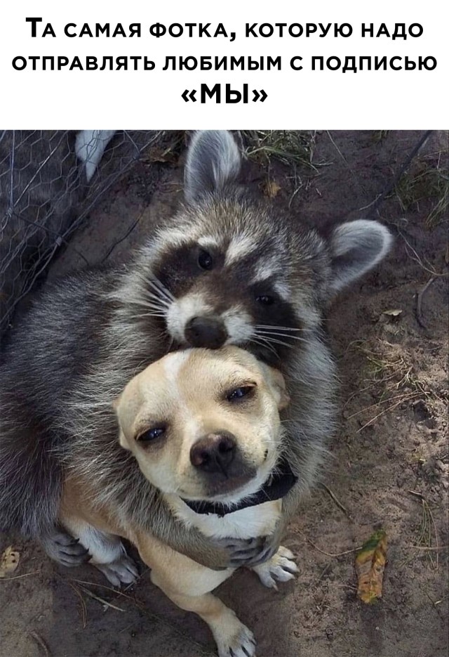 ������ ���� � ������� �� ���� (30 ����)