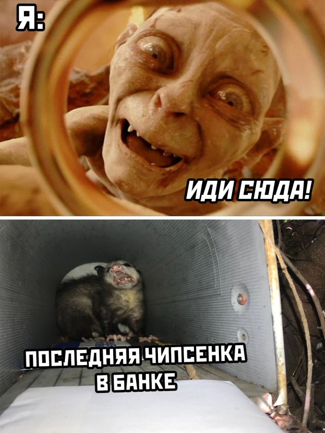 ������ ���� � ������� �� ���� (30 ����)