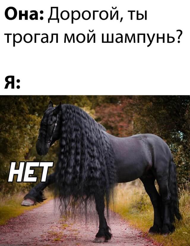 ������ ���� � ������� �� ���� (30 ����)