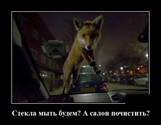 Демотиваторы понедельника (20 фото)