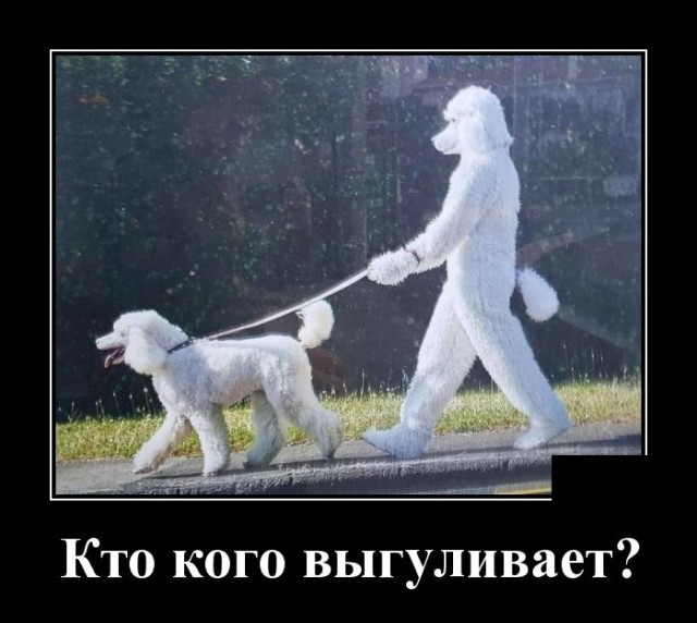 Демотиваторы понедельника (20 фото)
