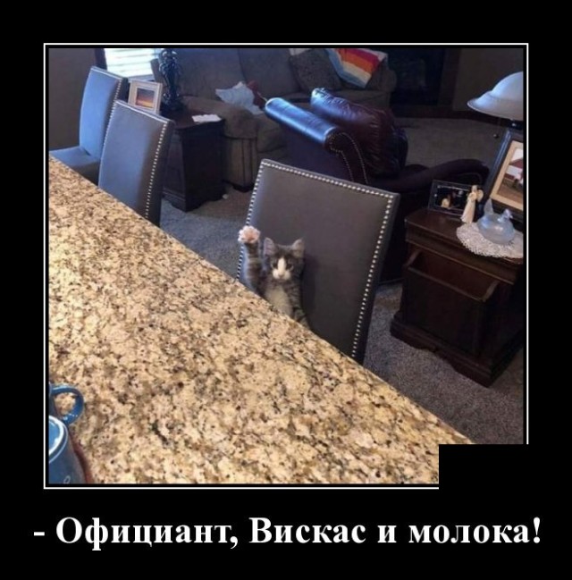 Демотиваторы понедельника (20 фото)