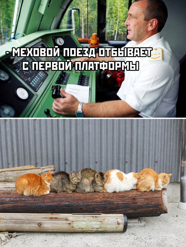 Свежие приколюхи подъехали! (30 фото)