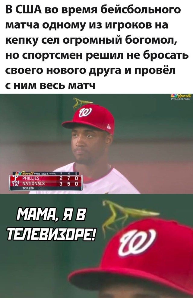 Свежие приколюхи подъехали! (30 фото)