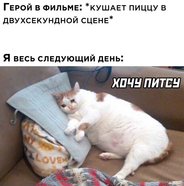 Пятничка! Свежак из сети (25 фото)