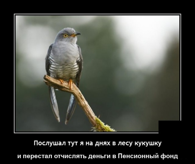 Демотиваторы четверга (20 фото)