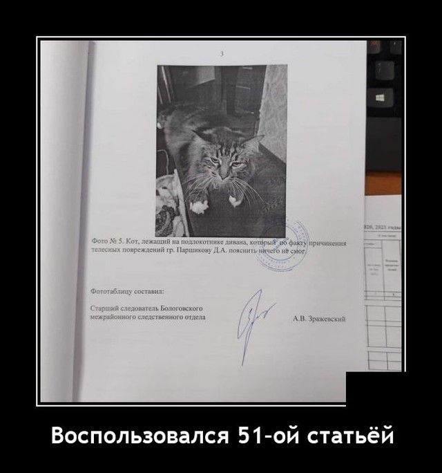 Демотиваторы четверга (20 фото)