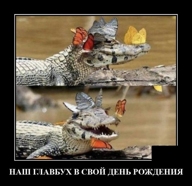 Демотиваторы понедельника (20 фото)