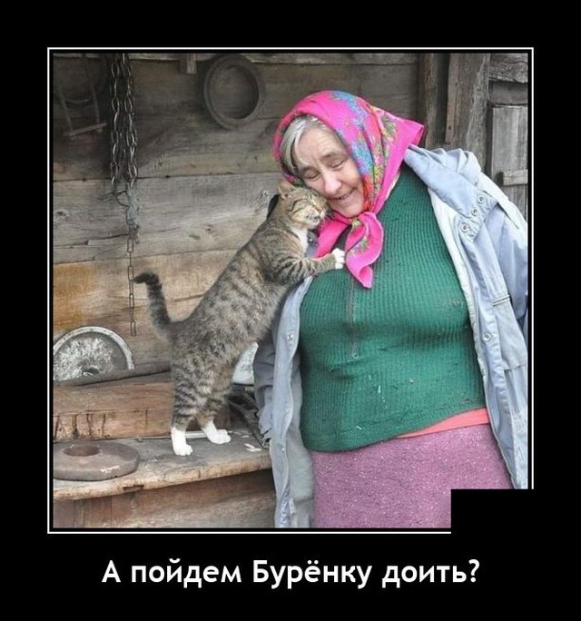 Демотиваторы понедельника (20 фото)