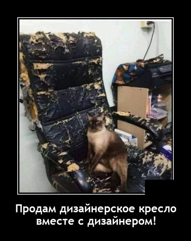 Демотиваторы понедельника (20 фото)