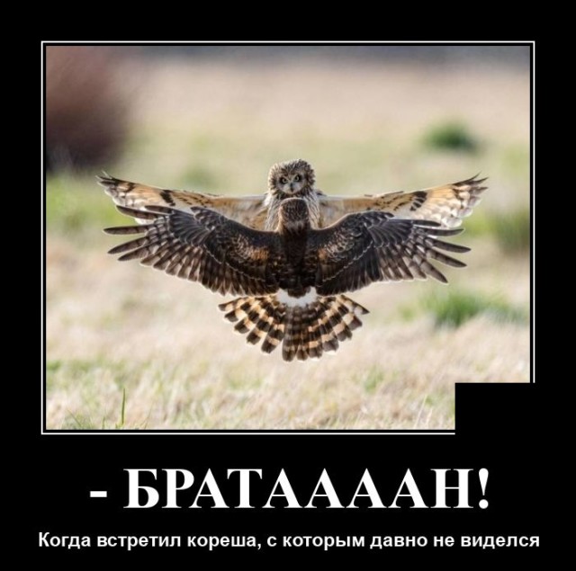 Демотиваторы понедельника (20 фото)