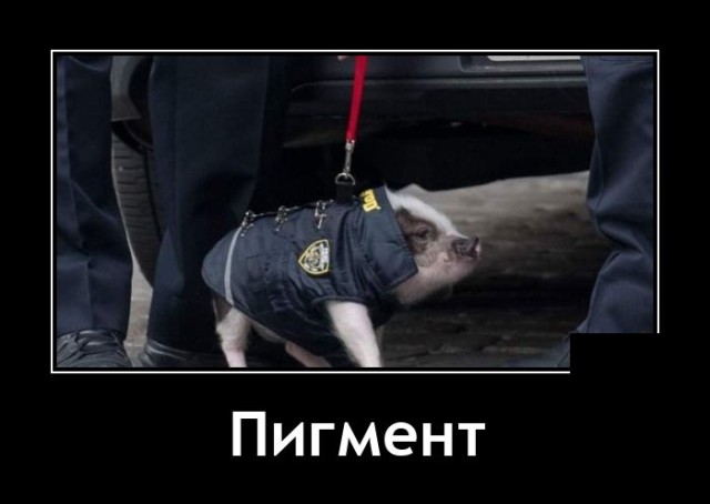 Демотиваторы понедельника (20 фото)