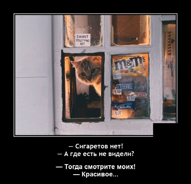Демотиваторы понедельника (20 фото)