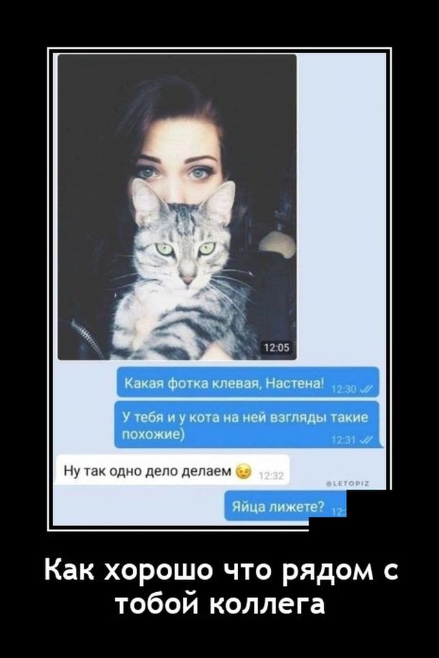 Демотиваторы понедельника (20 фото)