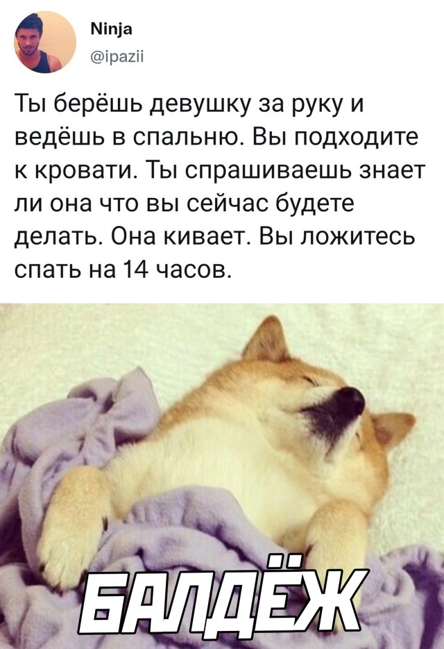   -   ! (30 )