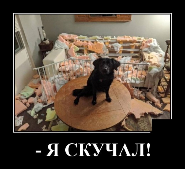 Демотиваторы понедельника (20 фото)