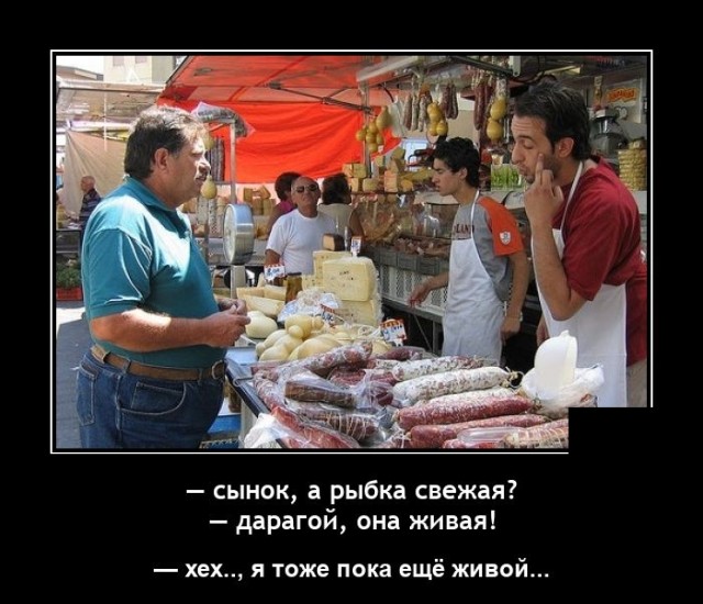 Демотиваторы понедельника (20 фото)
