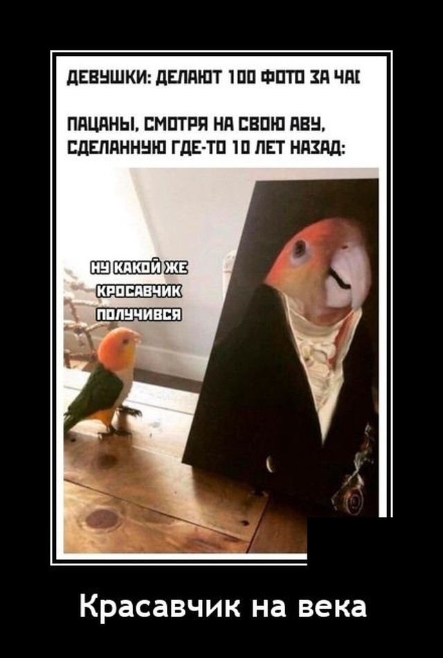Демотиваторы понедельника (20 фото)