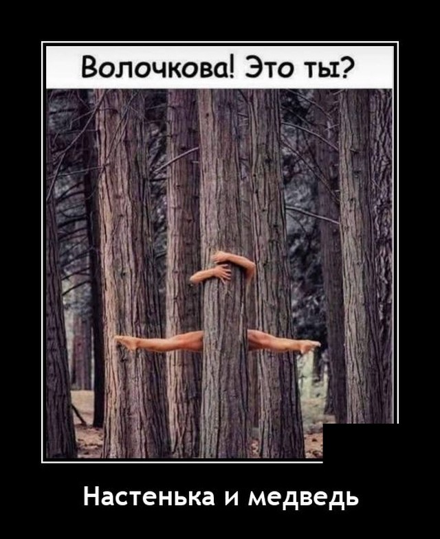Демотиваторы понедельника (20 фото)