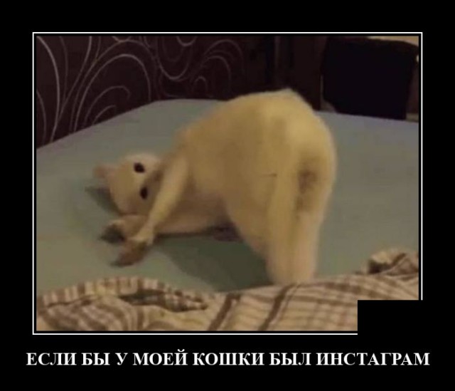Демотиваторы понедельника (20 фото)