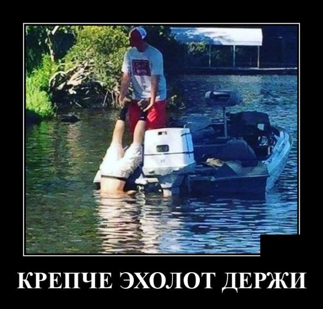Демотиваторы среды (20 фото)